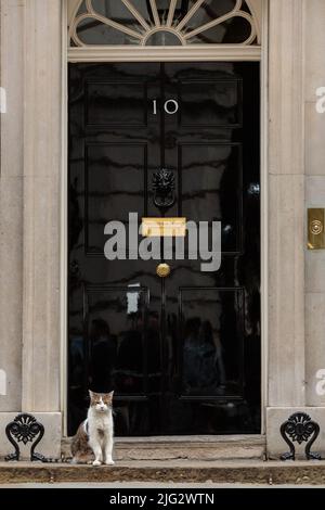 Downing Street, London, UK. 6th July 2022. Larry, brown and white tabby cat and Chief Mouser to the Cabinet Office, sitting on the doorstep of Number Stock Photo