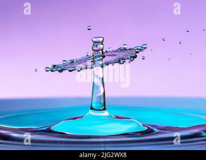 Macro shot of a water drop collision. Splash of water crown on the surface. Stock Photo