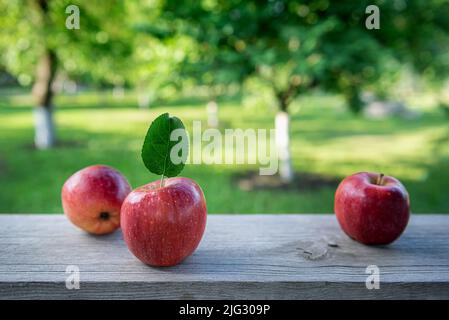 Three freshly harvested organic red apples with natural green apple tree leaf on old gray wooden plank. Unfocused orchard garden at background. Select Stock Photo