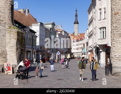 Tallinn Old Town cobbled street scene in summer, with medieval buildings and people; Tallinn Estonia Europe. Estonia travel. Stock Photo