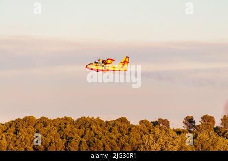 Canadaire trying to put out a fire in the garrigue in summer in Occitanie, France Stock Photo