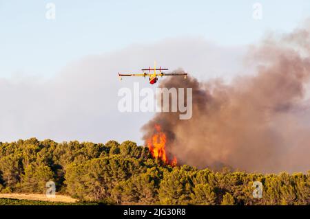 Canadaire trying to put out a fire in the garrigue in summer in Occitanie, France Stock Photo