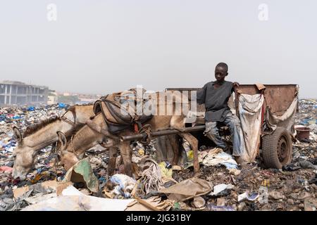 Impoverished street boy earning his living by driving a donkey cart on an urban garbage dumping site Stock Photo