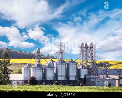 Grain silo plant agains the field of ripening rapsflowers Stock Photo