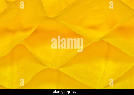 Yellow paper cells abstract patterns and textures background with shallow depth of field. Stock Photo