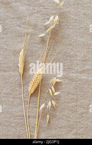 Minimalistic composition with ears of rye and wheat on a natural, textile background. Eco friendly card is suitable for bakeries, bread shops and harv Stock Photo