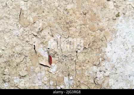 Old cement wall texture for background and design Stock Photo