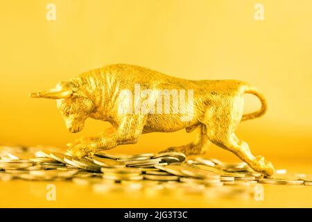 Bears walking over crypto coins against golden background. Market uptrend concept. Stock Photo