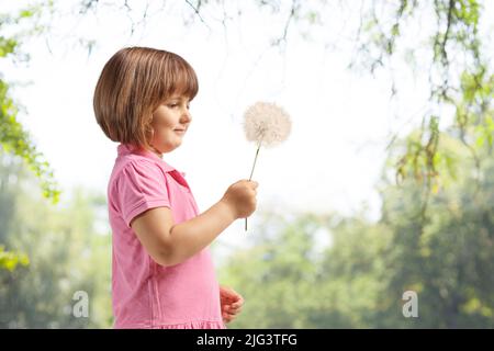 Profile shot of a cute little girl holding a dandelion in a park outdoors Stock Photo