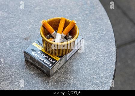 why are cigarettes called snouts Chinese cigarettes designs are insane (don't even smoke but I bought like  10 packs just to have them) 🐼🐎🐦‍🔥🏯🪭🎐🧧