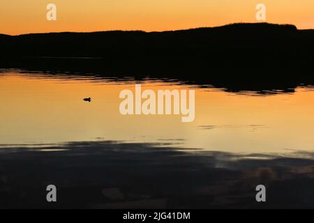 A lone duck floats on the smooth surface of a lake awash in warm sunset hues and deep shadows Stock Photo