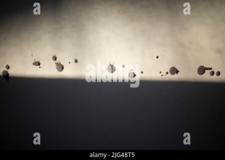 Dirt on wall. Black blobs on white wall. Splashes of wax. Stock Photo