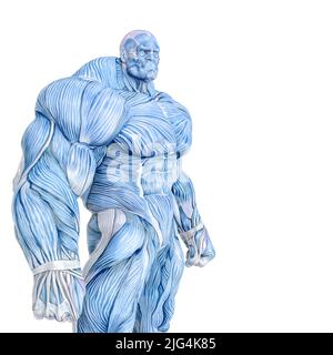 muscle maps of a strong man close up. This guy in clipping path is very  useful for graphic design creations, 3d illustration Stock Photo - Alamy