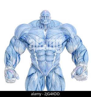 muscle maps of a strong man close up. This guy in clipping path is very  useful for graphic design creations, 3d illustration Stock Photo - Alamy