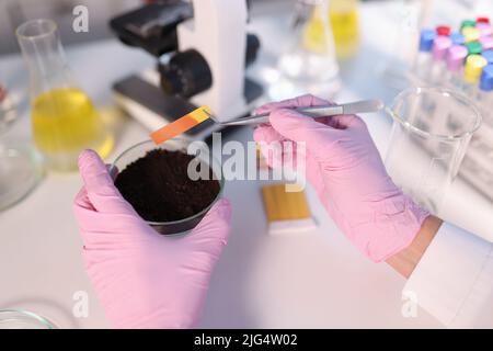 Laboratory analysis of soil. Scientist measures pH of soil sample with litmus strips Stock Photo