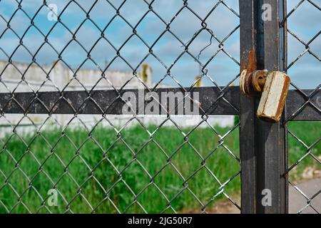 Brass padlock was locked with wire mesh door Stock Photo