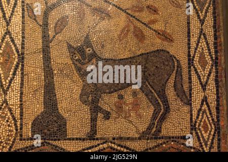 'The Wolf and Twins' mosaic, Roman tiling from Aldborough, (c300-400AD) on display in the UK. Stock Photo