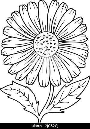 Daisy Flower Coloring Page for Adults Stock Vector
