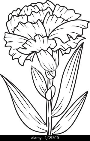 Carnation Flower Coloring Page for Adults Stock Vector