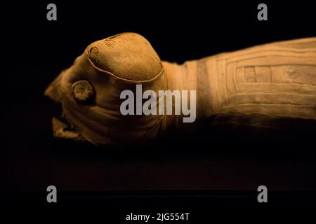 Leiden, The Netherlands - JAN 04, 2020: closeup of an egyptian cat mummy at the Rijksmuseum van Oudheden museum. Stock Photo