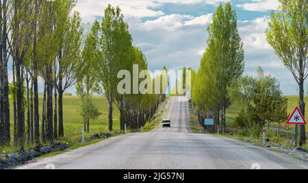 A road in Anatolia in Turkey. Old asphalt road stretching through the trees. Cute Anatolian village roads Stock Photo