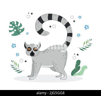 Exotic cute lemur Stock Vector