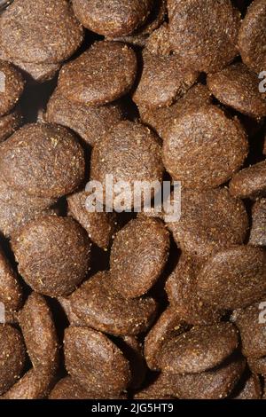 Dogs dry round food close up animals eating background high quality big size prints Stock Photo