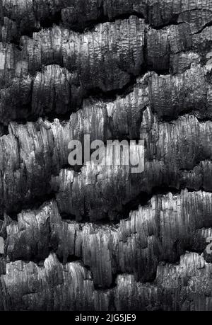 Burnt wood Stock Photo