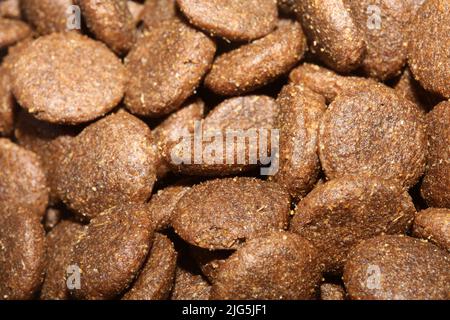 Dogs dry round food close up animals eating background high quality big size prints Stock Photo