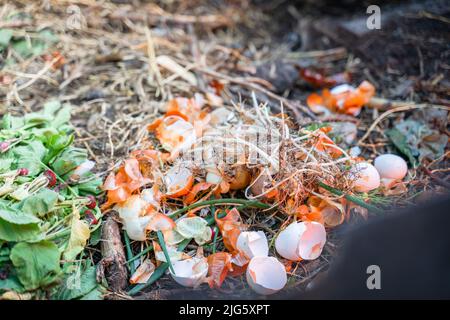 Egg shells on a compost heap close-up. Food and organic waste in non-waste fertilizer production Stock Photo