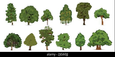 Realistic tree set with isolated images of single green trees of different subvariety on blank background vector illustration Stock Vector