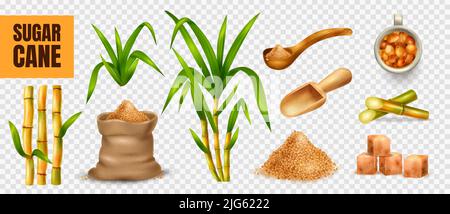 Sugar cane realistic transparent set with agriculture symbols isolated vector illustration Stock Vector