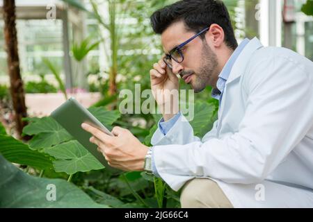 Biologist in lab coat and glasses working in a greenhouse while using a tablet Stock Photo