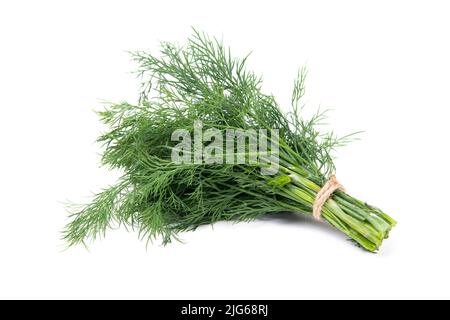 Fresh green dill leaves dillweed herb isolated on white Stock Photo