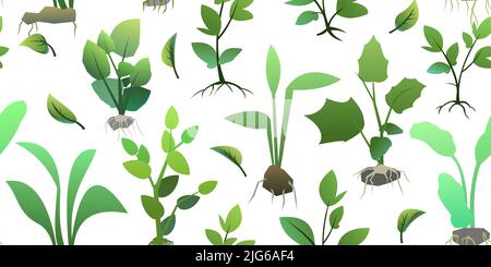 Seedling garden plants with roots. Sowing agricultural material. Seamless pattern. Isolated on white background. Vector Stock Vector