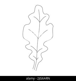 Oak leaf linear icon. Thin line illustration. Contour Vector outline drawing. Stock Vector