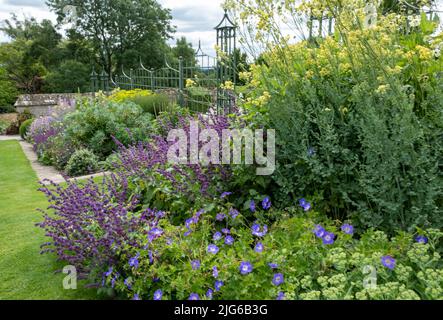 Planting at Bourton House gardens, Morton in Marsh. market town in the Cotswolds, Gloucestershire, England, uk Stock Photo