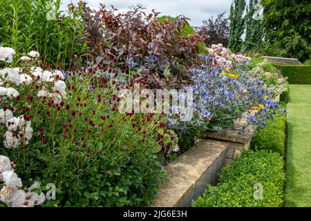 Planting at Bourton House gardens, Morton in Marsh. market town in the Cotswolds, Gloucestershire, England, uk Stock Photo