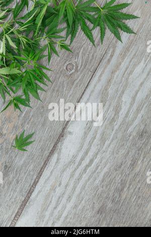 Frame with Cannabis leaves. Background with marijuana on old wooden background Stock Photo