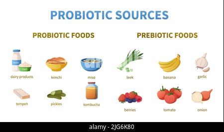 Probiotics infographics cartoon set with isolated icons of prebiotic foods with categories and editable text captions vector illustration Stock Vector