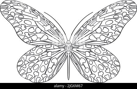 Butterfly silhouette. Hand drawn vector illustration. Isolated element on  white background. Best for seamless patterns, posters, cards, stickers and  your design. Stock Vector