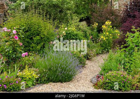 Herbaceous flower border joining a gravel garden path at Hall Cliffe Community Garden, Baildon, Yorkshire. Stock Photo