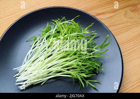 Plate of Freshly Harvested Water Spinach Hydroponic Microgreens on Wooden Background Stock Photo