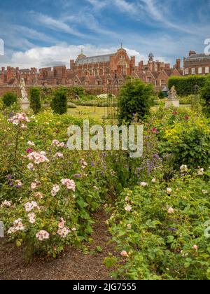 The Rose Garden at Hampton Palace. London. UK Stock Photo