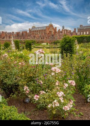 The Rose Garden at Hampton Palace. London. UK Stock Photo