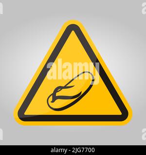 No Slipper On White Background Stock Vector