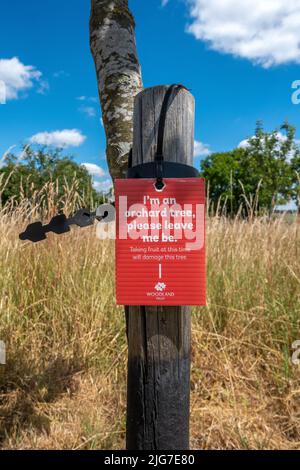 Apple tree labelled 'I'm an orchard tree please let me be' in England, UK Stock Photo