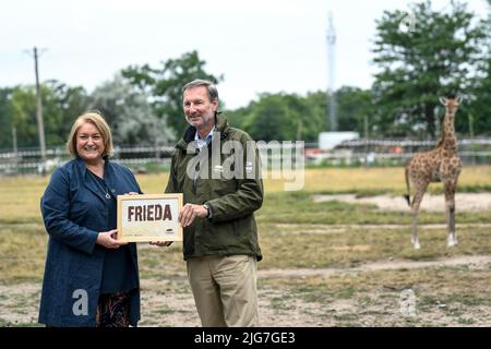 Berlin, Germany. 08th July, 2022. Sabine Pentrop, press spokeswoman HOWOGE Wohnungsbaugesellschaft mbH, and Andreas Knieriem, zoo and animal park director, hold a name tag of the young giraffe Frieda for the giraffe baptism at Tierpark Berlin. From several hundred suggestions, a jury found the new name 'Frieda' for the youngest family member of the giraffe herd. Credit: Elisabeth Edich/dpa/Alamy Live News Stock Photo