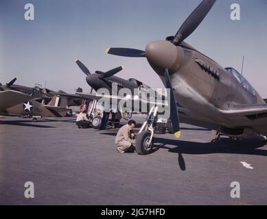 P-51 (&quot;Mustang&quot;) fighter planes being prepared for test flight at the field of the North American Aviation, Inc., plant in Inglewood, Calif. Stock Photo