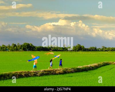 Children fly kites on rice fields in rural Vietnam Stock Photo